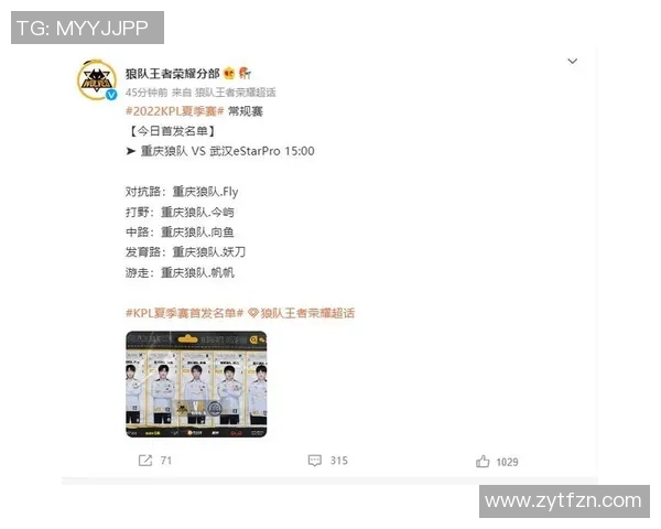 以向鱼为核心解析王者荣耀角色成长与团队协作战略全面提升路径