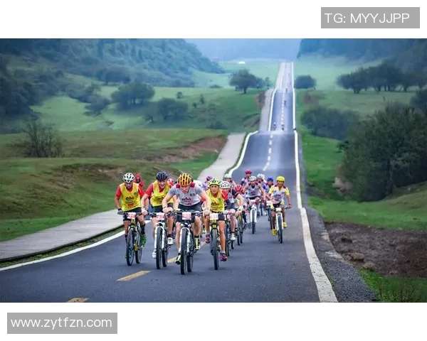 运动赋能生活：探索健身、竞技与健康的多维融合新趋势